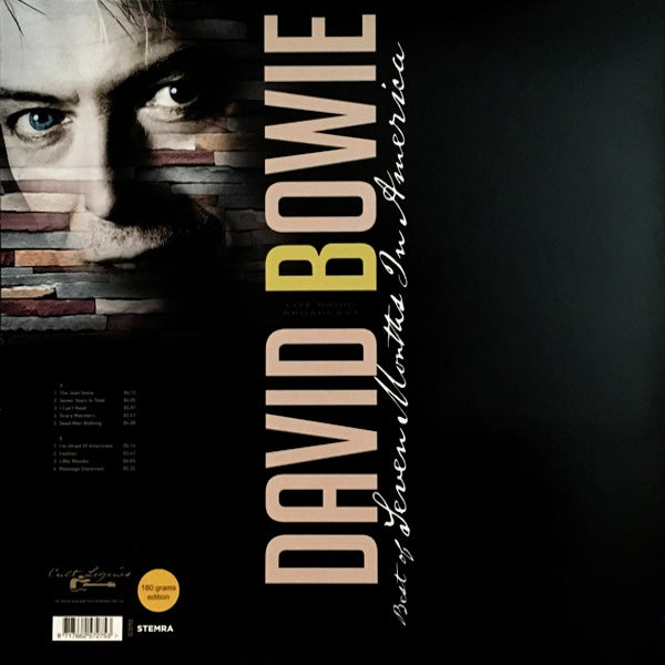 David Bowie - Best Of Seven Months In America - LP