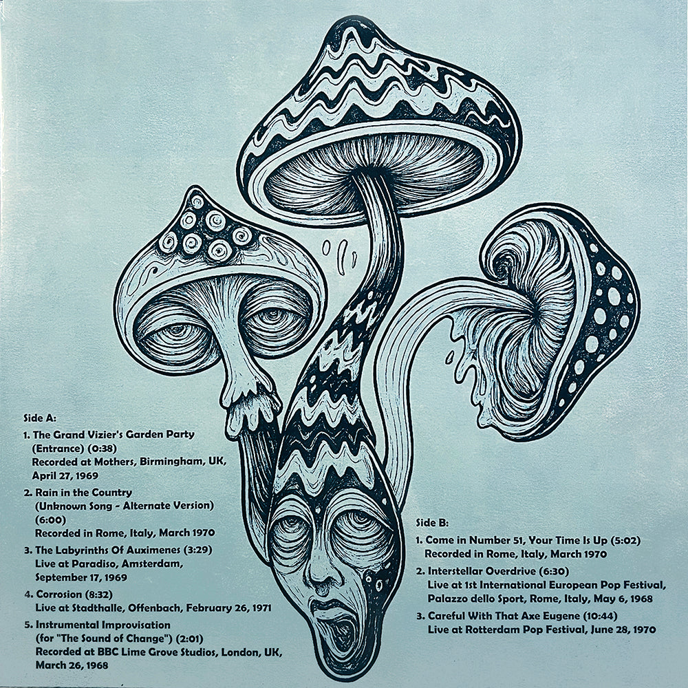 PINK FLOYD LP Lose Your Mind And Find Your Soul (More Fungi Music)