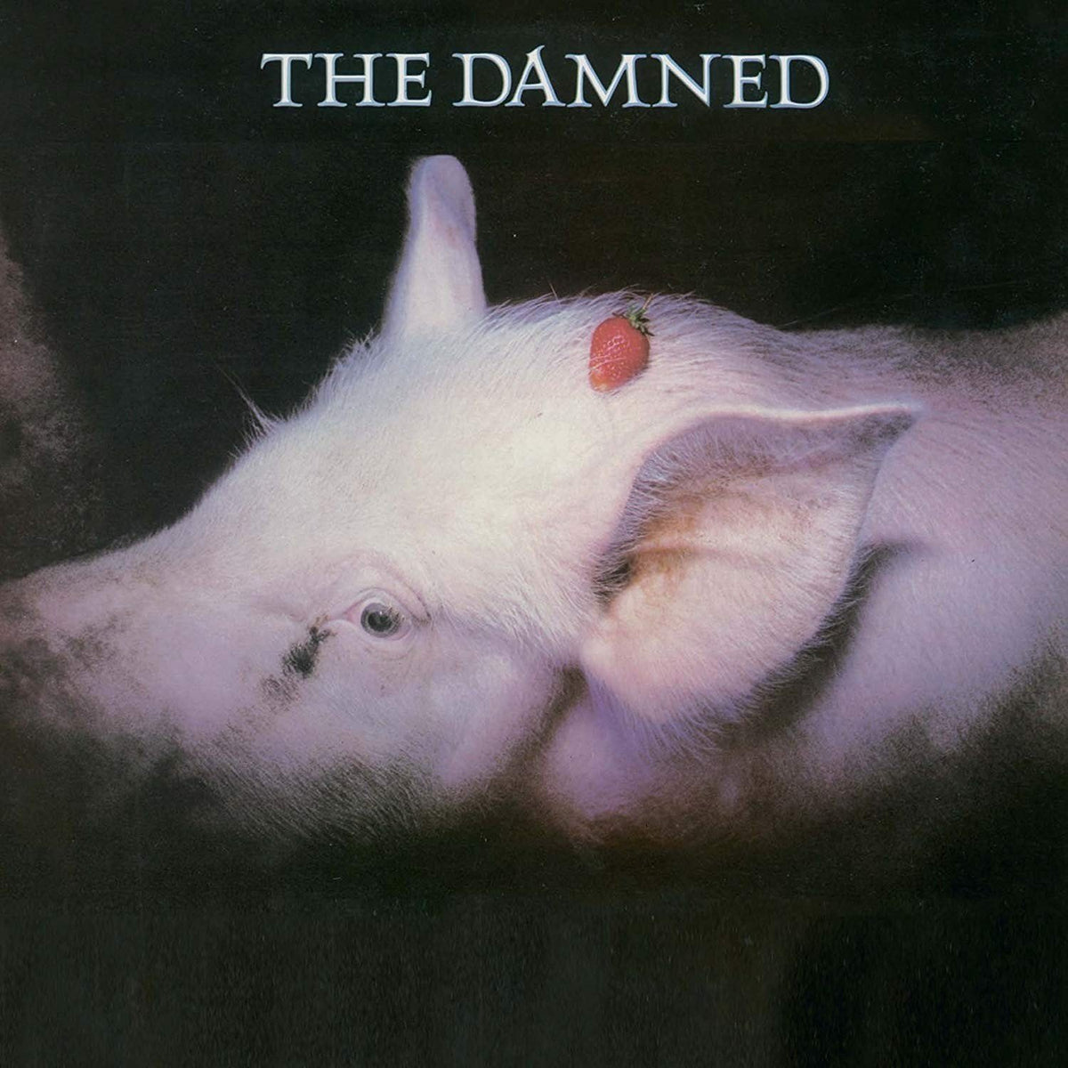 The Damned - Strawberries - LP