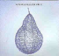M People - Bizarre fruit (1994) - CD - CD Muy Buen Estado / Portada Muy Buen Estado (VG+/VG+)