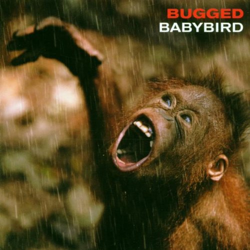 Babybird - Bugged - CD - CD Muy Buen Estado / Portada Muy Buen Estado (VG+/VG+)