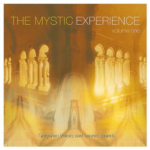 Various Artists - The Mystic Experience Vol. 1 - Gregorian Voices and Sacred Sounds - CD - CD Muy Buen Estado / Portada Muy Buen Estado (VG+/VG+)