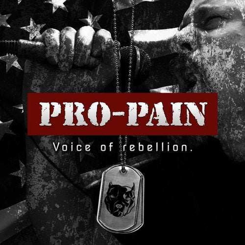 Pro-Pain - Voice of Rebellion - CD - CD Muy Buen Estado / Portada Muy Buen Estado (VG+/VG+)