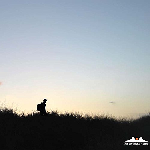 Dusty Kid - Not So Green Fields (Ltd.Digisleeve) - CD - CD Muy Buen Estado / Portada Muy Buen Estado (VG+/VG+)