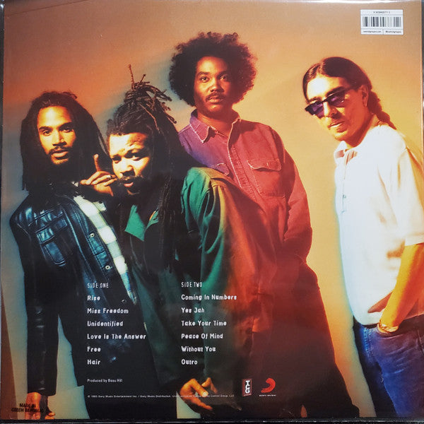 Bad Brains – Rise - LP - 2022 - The Control Group – CG0113
