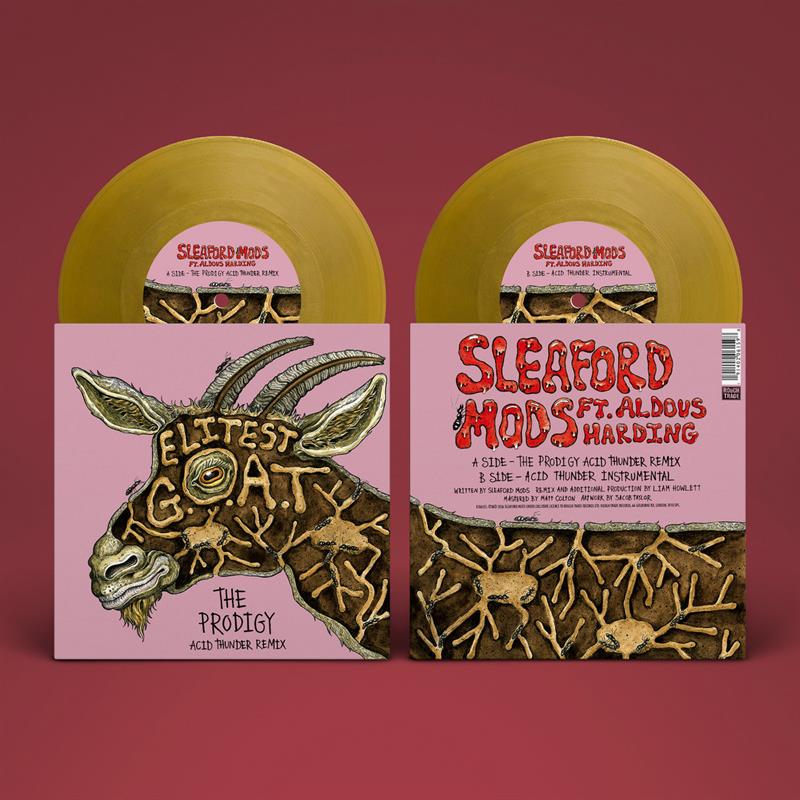 Sleaford Mods, Aldous Harding - Elitest G.O.A.T. The Prodigy Acid Thunder Remix - 7" - Color