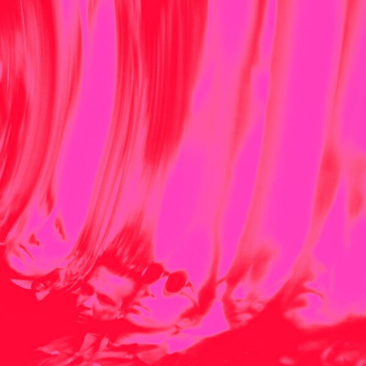 Ty Segall - Love Fuzz - 12"