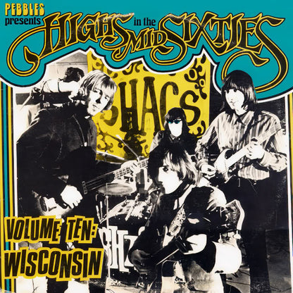 VARIOS LP Highs In The Mid Sixties Volume 10: Wisconsin