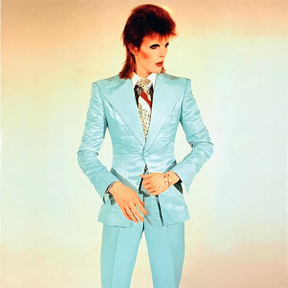 DAVID BOWIE LP Unreleased Demos 1966-1970 (Picture Disc with Cover)