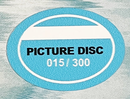 MADONNA LP Ray Of Light 25th Anniversary LIVE Edition (Picture Disc with Cover)