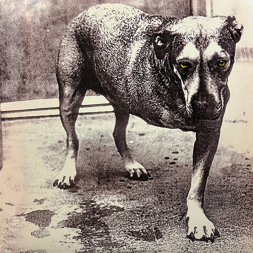 ALICE IN CHAINS 2xLP Alice In Chains (180-Gram Heavyweight Vinyl)