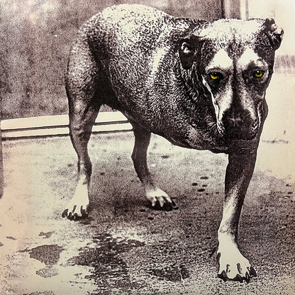ALICE IN CHAINS 2xLP Alice In Chains (180-Gram Heavyweight Vinyl)