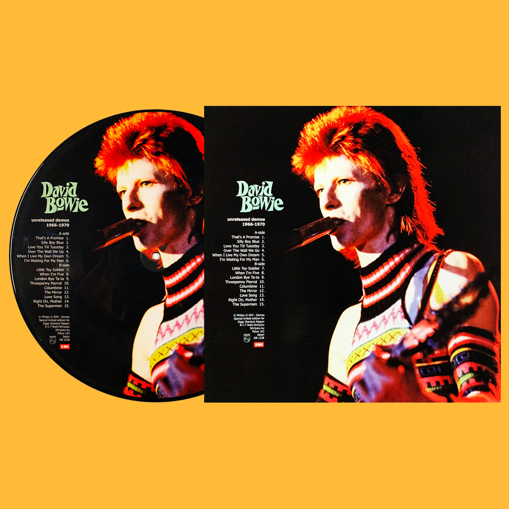 DAVID BOWIE LP Unreleased Demos 1966-1970 (Picture Disc with Cover)