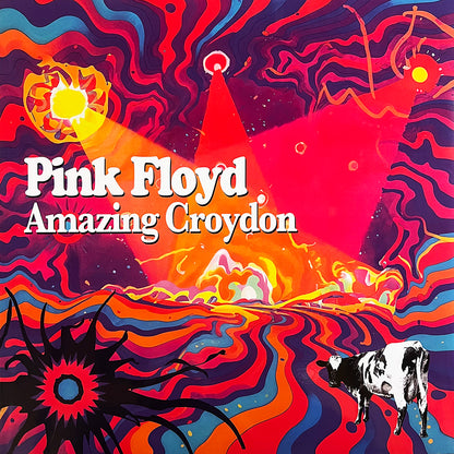 PINK FLOYD 3xLP+T-SHIRT BOX SET Amazing Croydon (Clear Coloured)