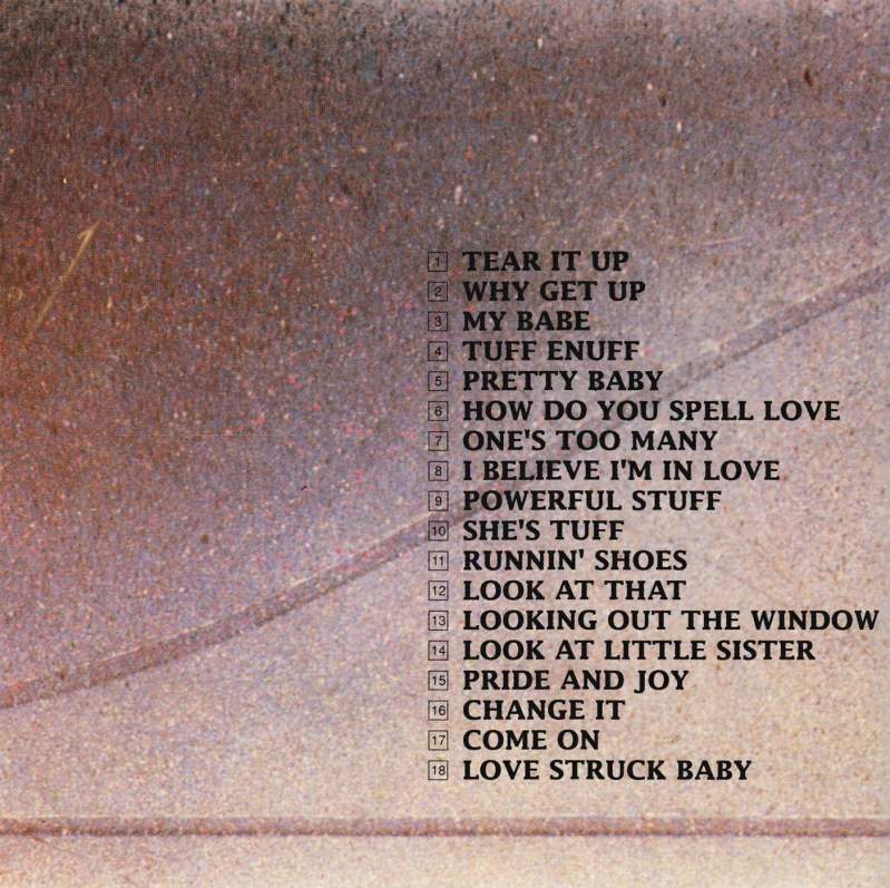 STEVIE RAY VAUGHAN CD Two (Vaughan) Hearts Are Better Than One
