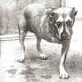 Alice In Chains - Alice In Chains - LP