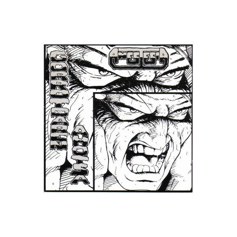 Anesthesia - The Voice of Hate - LP