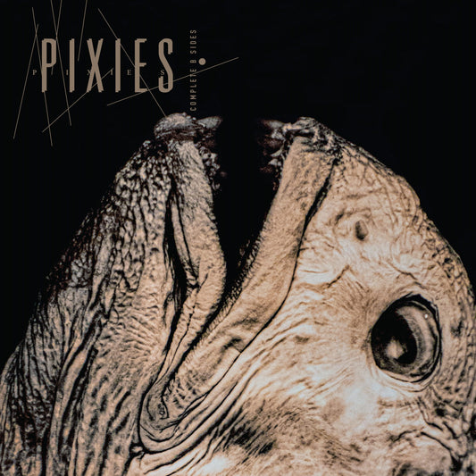 Pixies - Complete B Sides: 1988-97 - 2xLP