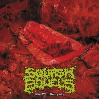 Squash Bowels - Dead?...not Yet!!! - CD