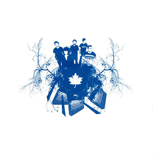 Maple - Daily Charm - LP - Color