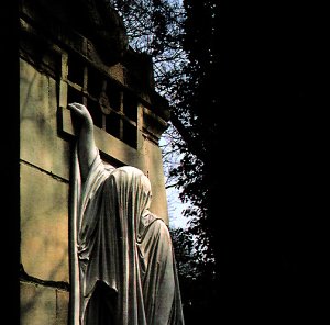 Dead Can Dance - Within The Realm Of A Dying Sun - CD - CD Muy Buen Estado / Portada Muy Buen Estado (VG+/VG+)