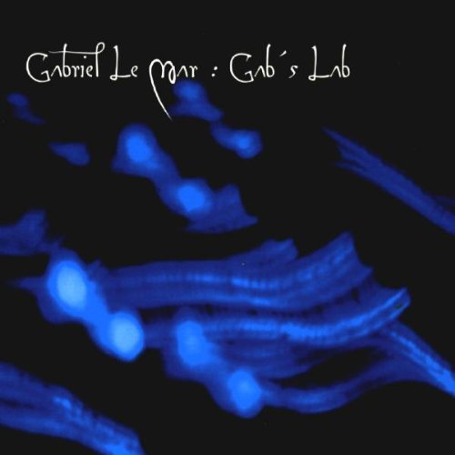 Gabriel Le Mar - Gab's Lab - CD - CD Muy Buen Estado / Portada Muy Buen Estado (VG+/VG+)
