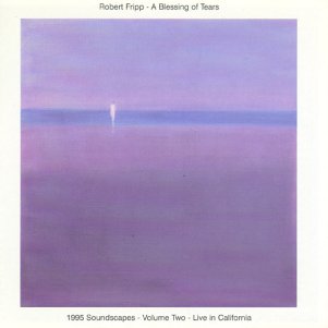 Robert Fripp - A Blessing of Tears/Live in Ca - CD - CD Muy Buen Estado / Portada Muy Buen Estado (VG+/VG+)