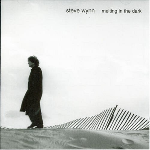 Steve Wynn - Melting In The Dark - CD - CD Muy Buen Estado / Portada Muy Buen Estado (VG+/VG+)