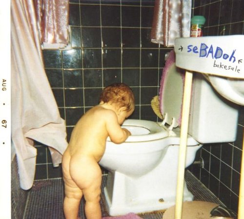Sebadoh - Bakesale - CD - CD Muy Buen Estado / Portada Muy Buen Estado (VG+/VG+)