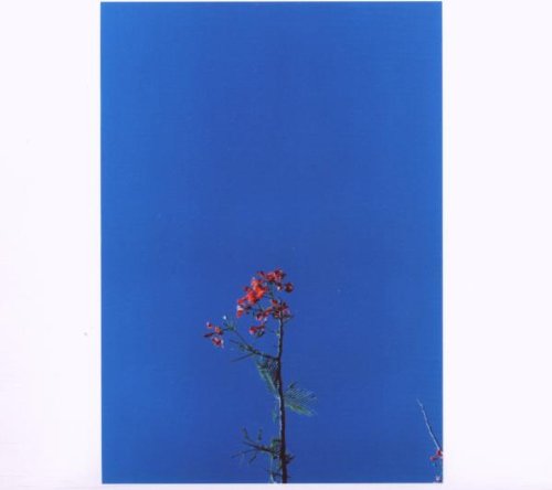 Joanna Newsom - Joanna Newsom And The Ys Street Band EP - CD - CD Muy Buen Estado / Portada Muy Buen Estado (VG+/VG+)