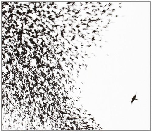 Wilco - Sky Blue Sky - CD - CD Muy Buen Estado / Portada Muy Buen Estado (VG+/VG+)