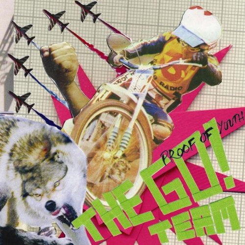 The Go! Team - Proof Of Youth - 2 Discos - Discos Muy Buen Estado / Portada Muy Buen Estado (VG+/VG+)