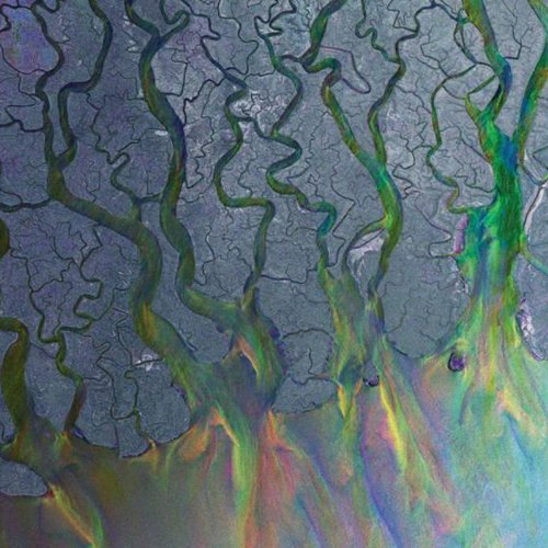 alt-J - An Awesome Wave - CD - CD Muy Buen Estado / Portada Muy Buen Estado (VG+/VG+)