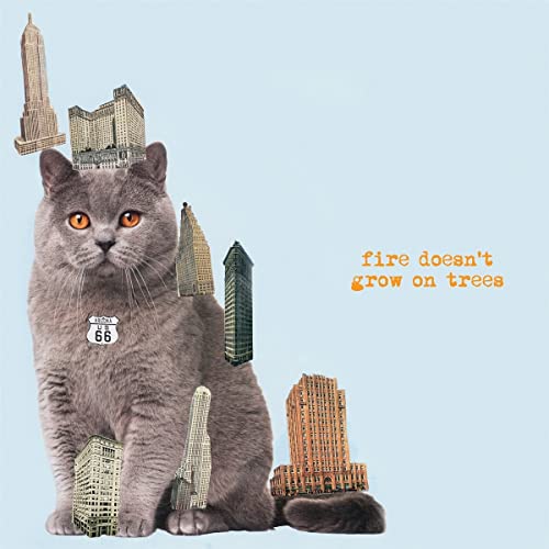 The Brian Jonestown Massacre - Fire Doesn't Grow On Trees - CD - CD Muy Buen Estado / Portada Muy Buen Estado (VG+/VG+)