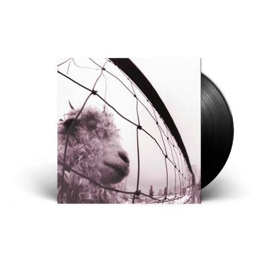 Pearl Jam - Vs - LP