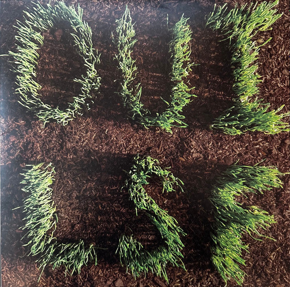 Les Savy Fav - OUI, LSF - LP - Color