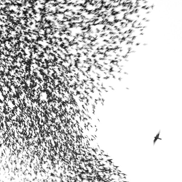 Wilco - Sky Blue Sky - 2xLP - Color