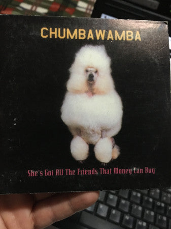Chumbawamba – She's Got All The Friends That Money Can Buy - CD, Single, Promo, Card Sleeve - Mexican Edition - Very Good Condition (VG+ / VG+) - Price Sticker Residue