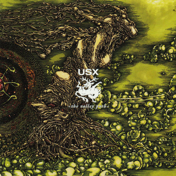 USX – The Valley Path - CD - Like New (M- / M-)