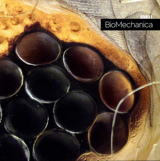 BioMechanica – BM01 - LP - 2012 - Geometrik – GR 2127LP - New Vinyl / Cover in Very Good Condition (M/VG+)