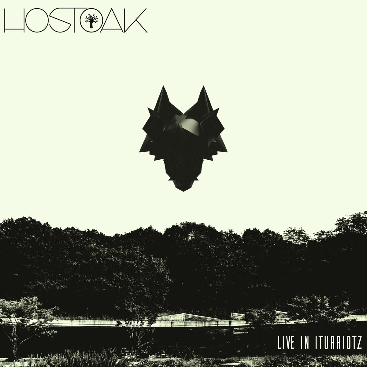 Hostoak - Live In Iturriotz - CD - Very Good Condition (VG+ / M-)