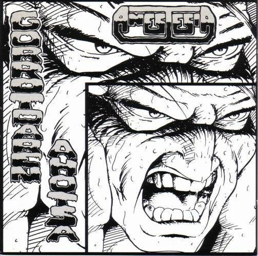Anestesia – Gorrotoaren Ahotsa - LP