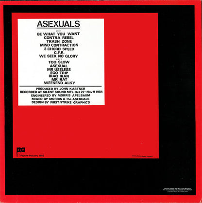 Asexuals ‎– Be What You Want - LP - 1985 - Psyche Industry Records ‎– PIR-03 - Very Good Condition (VG+ / VG+)