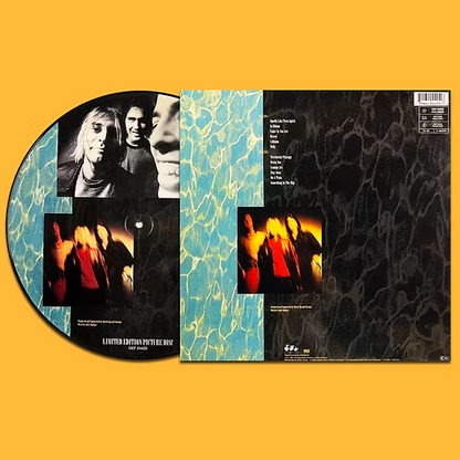 NIRVANA LP Nevermind (Picture Disc) with Cover and Insert