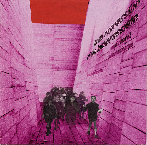 Blonde Redhead - In a expression of the inexpressible - LP