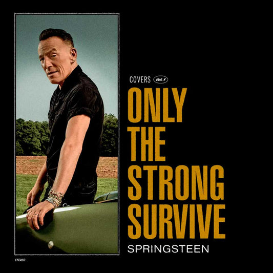 Bruce Springsteen - Only the strong survive - 2xLP