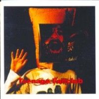 Teenage Fanclub - Deep Fried Fanclub - CD