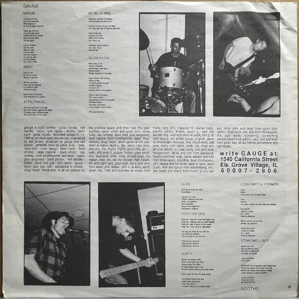 Gauge – Soothe - LP - 1993 - THD Records – THD 11, Radius Records – Radius 2 - Vinilo Muy Buen Estado / Portada Muy Buen Estado (VG+/VG+) - DISPONIBILIDAD INMEDIATA / IMMEDIATE AVAILABILITY.