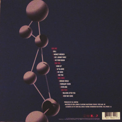 Foo Fighters - The Colour And The Shape - 2xLP