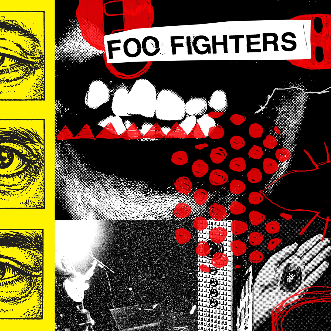 Foo Fighters - Your Favorite Toy - LP